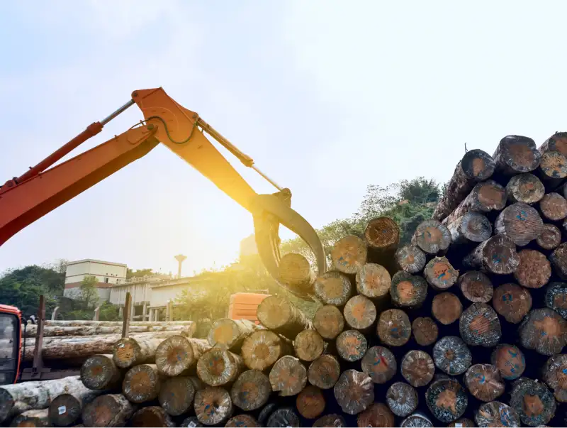 Woodmat - Gallery - Image-1