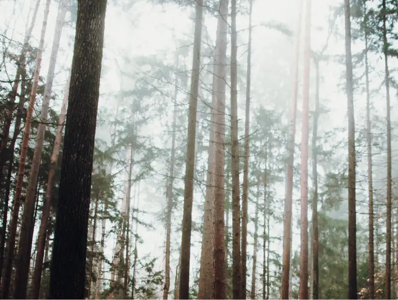 Woodmat - Gallery - Image-3